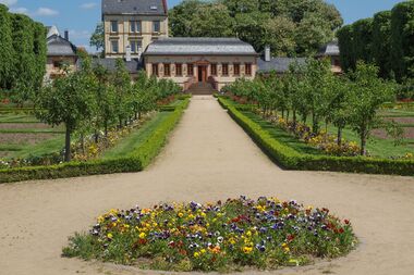 Blumenbeete im Herrngarten Darmstadt